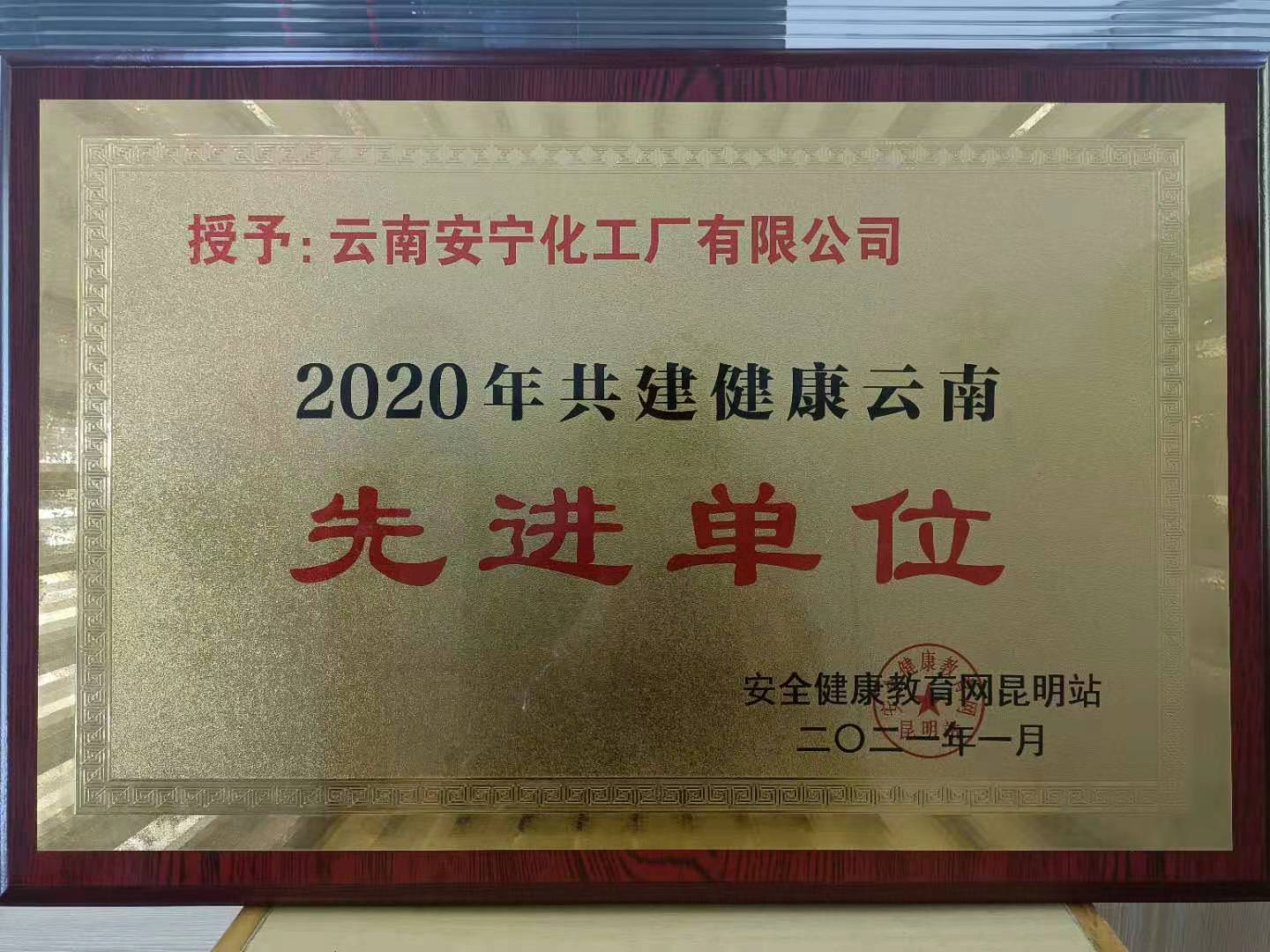 2020年共建健康广东先进单位