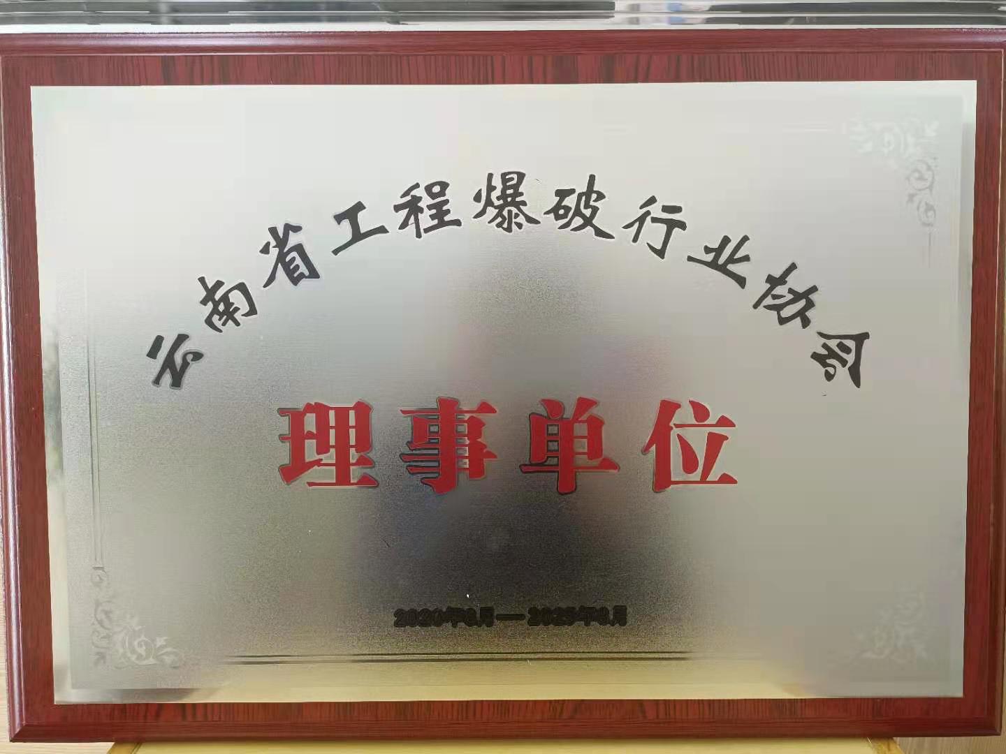 广东省工程爆破行业协会理事单位